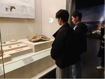 91吃瓜